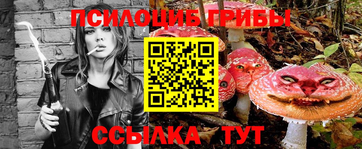 Галлюциногенные грибы Psilocybe Мурманск